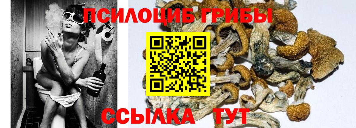 Галлюциногенные грибы Magic Shrooms  Вход с VPN  Кирово-Чепецк  Псилоцибиновые грибы Psilocybine cubensis 