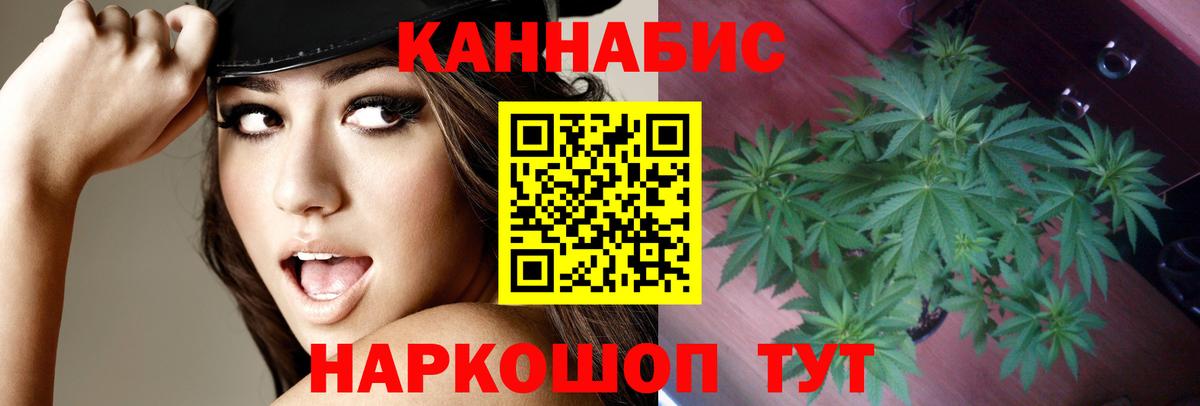 Бошки Шишки индика  Марихуана план  Конопля Amnesia  Шишки марихуана индика  Вход с VPN  Кирово-Чепецк 